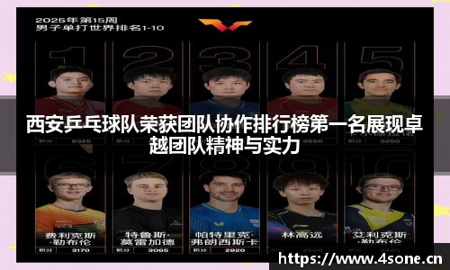 星空电子首页网站